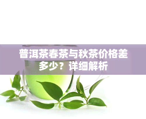 普洱茶春茶与秋茶价格差多少？详细解析