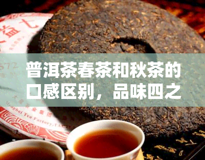 普洱茶春茶和秋茶的口感区别，品味四之变：探析普洱茶春茶与秋茶的口感差异