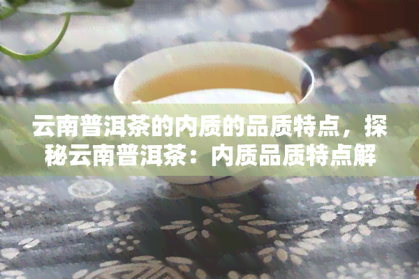 云南普洱茶的内质的品质特点，探秘云南普洱茶：内质品质特点解析