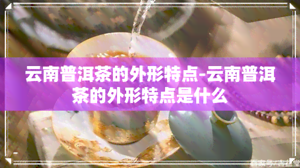 云南普洱茶的外形特点-云南普洱茶的外形特点是什么