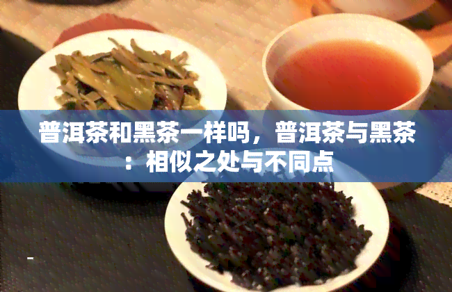 普洱茶和黑茶一样吗，普洱茶与黑茶：相似之处与不同点