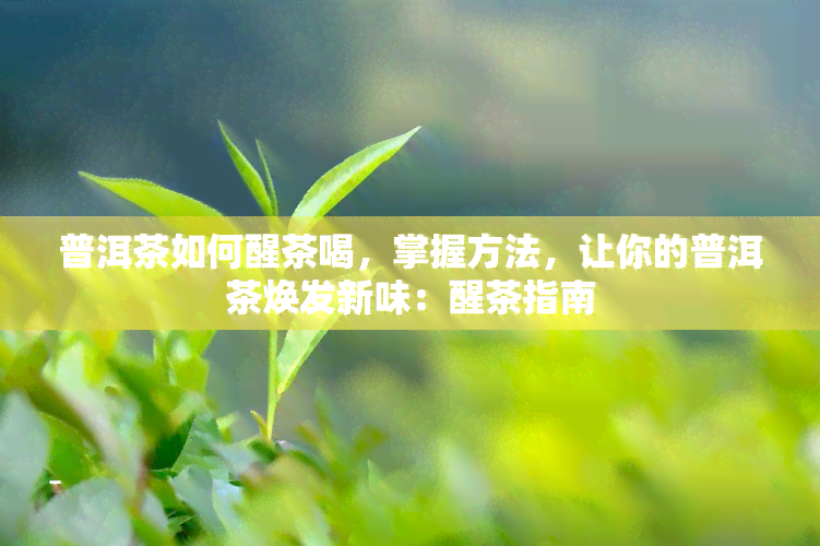 普洱茶如何醒茶喝，掌握方法，让你的普洱茶焕发新味：醒茶指南