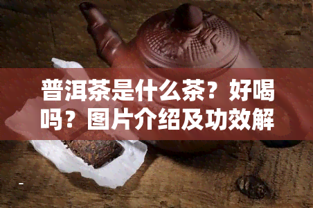 普洱茶是什么茶？好喝吗？图片介绍及功效解析