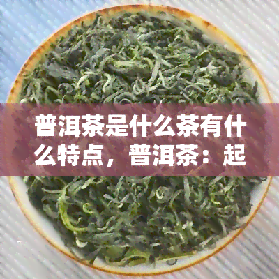 普洱茶是什么茶有什么特点，普洱茶：起源、分类与独特特点探究