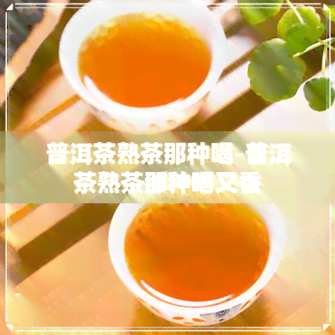 普洱茶熟茶那种喝-普洱茶熟茶那种喝又香