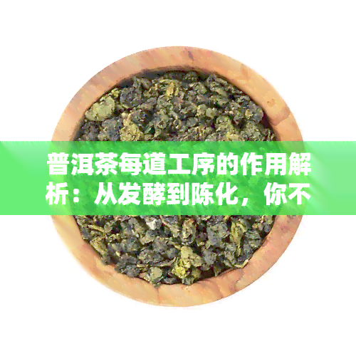 普洱茶每道工序的作用解析：从发酵到陈化，你不可不知的关键步骤