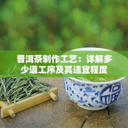 普洱茶制作工艺：详解多少道工序及其适宜程度