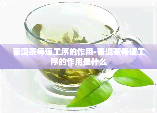 普洱茶每道工序的作用-普洱茶每道工序的作用是什么