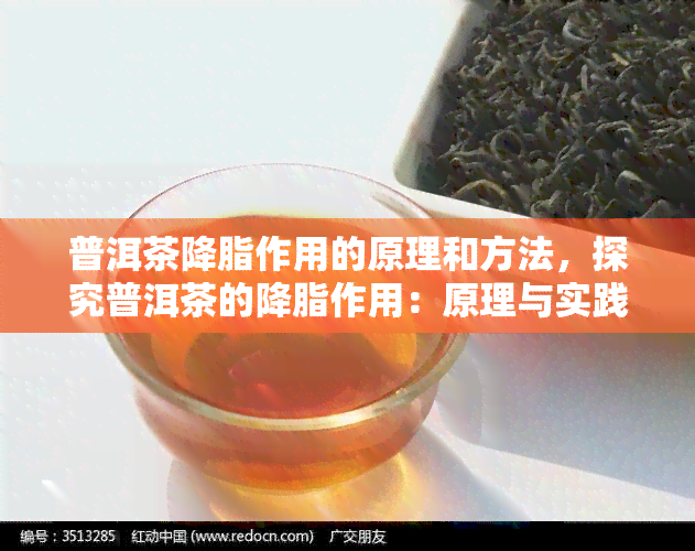 普洱茶降脂作用的原理和方法，探究普洱茶的降脂作用：原理与实践方法