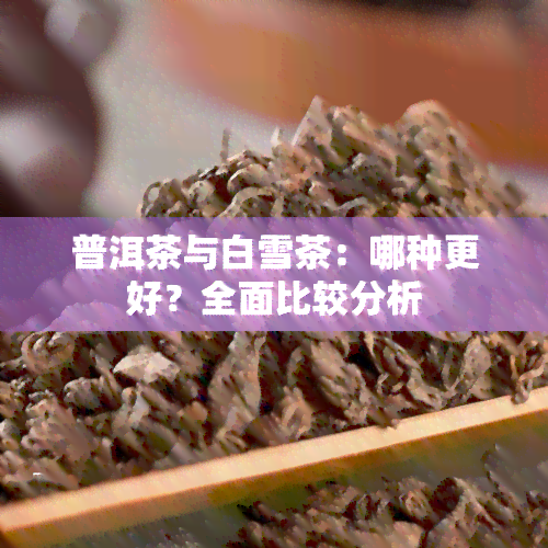 普洱茶与白雪茶：哪种更好？全面比较分析