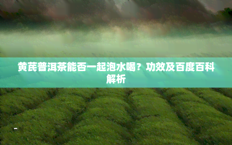 黄芪普洱茶能否一起泡水喝？功效及百度百科解析