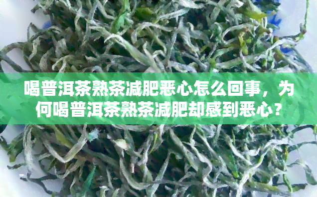 喝普洱茶熟茶减肥恶心怎么回事，为何喝普洱茶熟茶减肥却感到恶心？