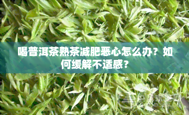 喝普洱茶熟茶减肥恶心怎么办？如何缓解不适感？