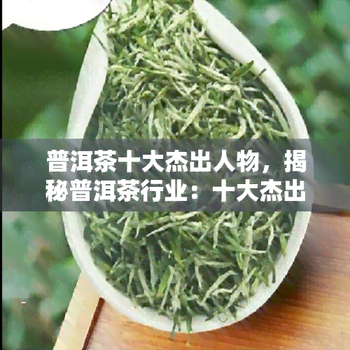 普洱茶十大杰出人物，揭秘普洱茶行业：十大杰出人物是谁？