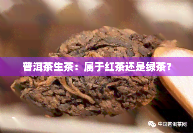 普洱茶生茶：属于红茶还是绿茶？