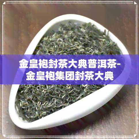 金皇袍封茶大典普洱茶-金皇袍集团封茶大典