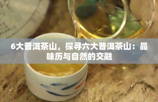 6大普洱茶山，探寻六大普洱茶山：品味历与自然的交融