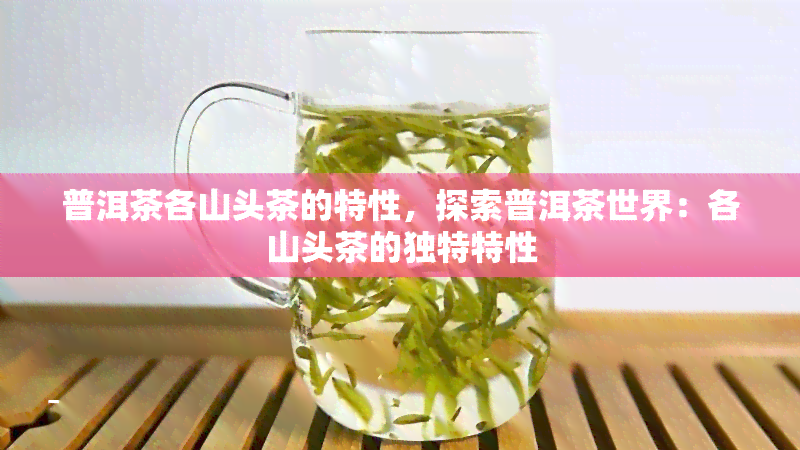 普洱茶各山头茶的特性，探索普洱茶世界：各山头茶的独特特性