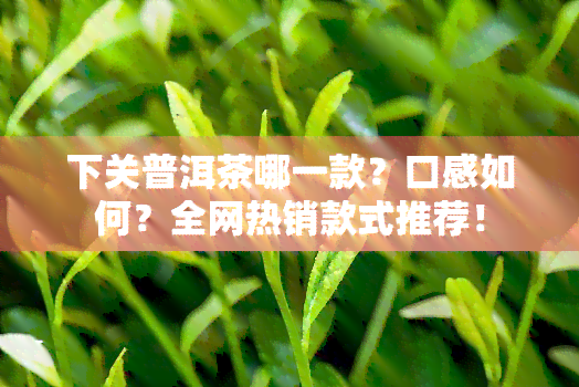 下关普洱茶哪一款？口感如何？全网热销款式推荐！