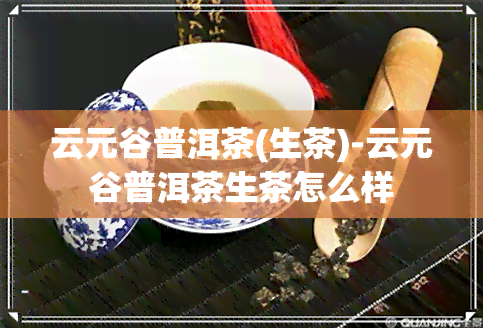 云元谷普洱茶(生茶)-云元谷普洱茶生茶怎么样