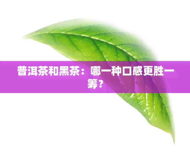 普洱茶和黑茶：哪一种口感更胜一筹？