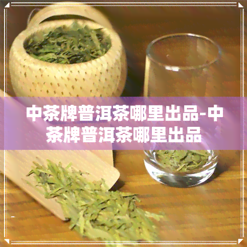 中茶牌普洱茶哪里出品-中茶牌普洱茶哪里出品