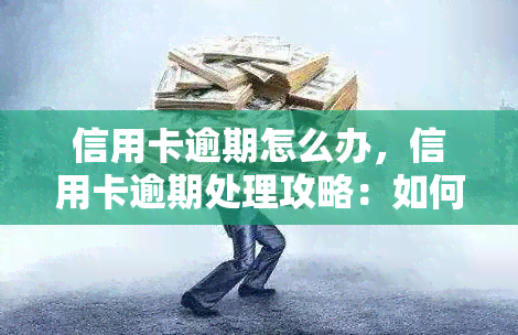 信用卡逾期怎么办，信用卡逾期处理攻略：如何妥善解决逾期问题？