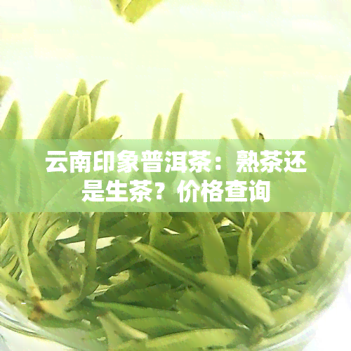 云南印象普洱茶：熟茶还是生茶？价格查询