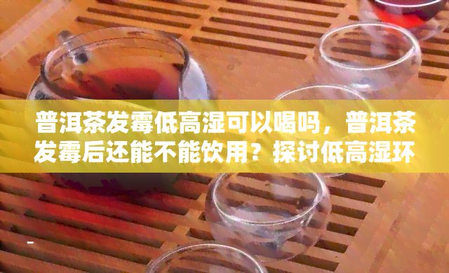 普洱茶发霉低高湿可以喝吗，普洱茶发霉后还能不能饮用？探讨低高湿环境下茶叶的变化