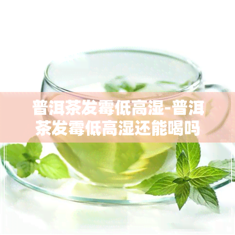 普洱茶发霉低高湿-普洱茶发霉低高湿还能喝吗