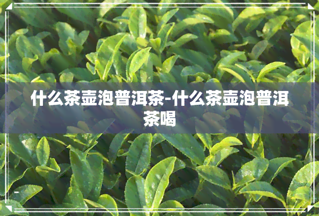 什么茶壶泡普洱茶-什么茶壶泡普洱茶喝