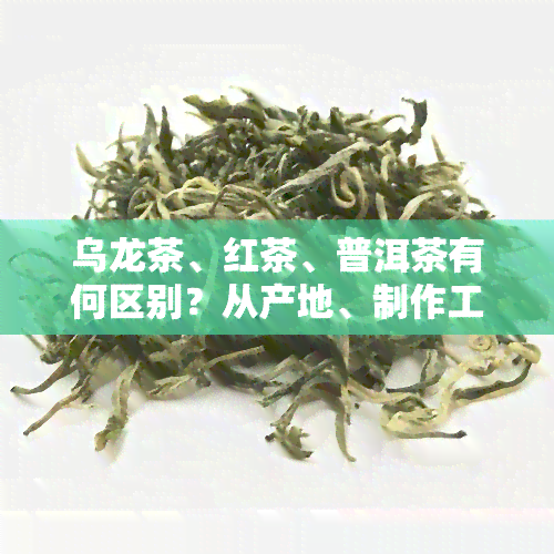 乌龙茶、红茶、普洱茶有何区别？从产地、制作工艺、口感等方面全面解析