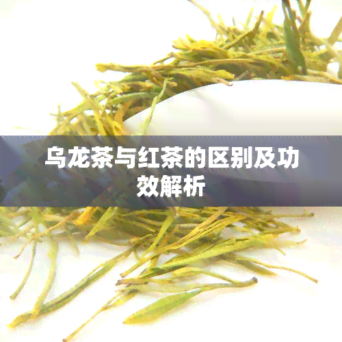 乌龙茶与红茶的区别及功效解析