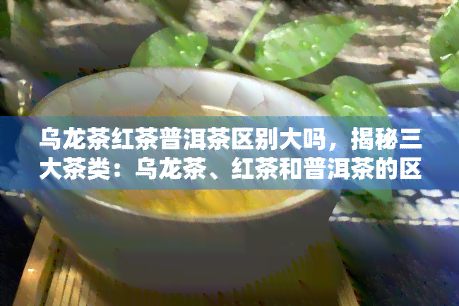 乌龙茶红茶普洱茶区别大吗，揭秘三大茶类：乌龙茶、红茶和普洱茶的区别大吗？