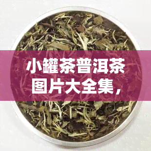 小罐茶普洱茶图片大全集，欣精美图片：小罐茶普洱茶大全集