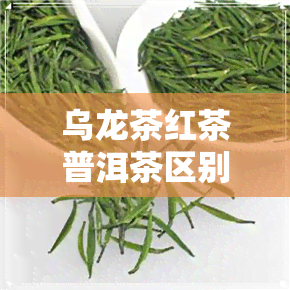 乌龙茶红茶普洱茶区别-乌龙茶红茶普洱茶区别在哪