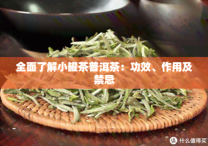 全面了解小罐茶普洱茶：功效、作用及禁忌