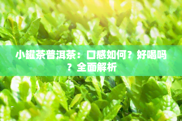 小罐茶普洱茶：口感如何？好喝吗？全面解析