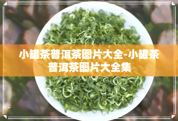 小罐茶普洱茶图片大全-小罐茶普洱茶图片大全集