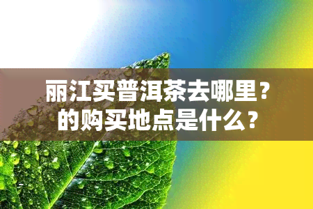 丽江买普洱茶去哪里？的购买地点是什么？