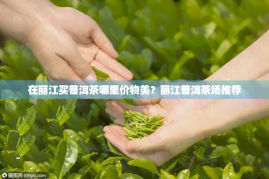 在丽江买普洱茶哪里价物美？丽江普洱茶场推荐