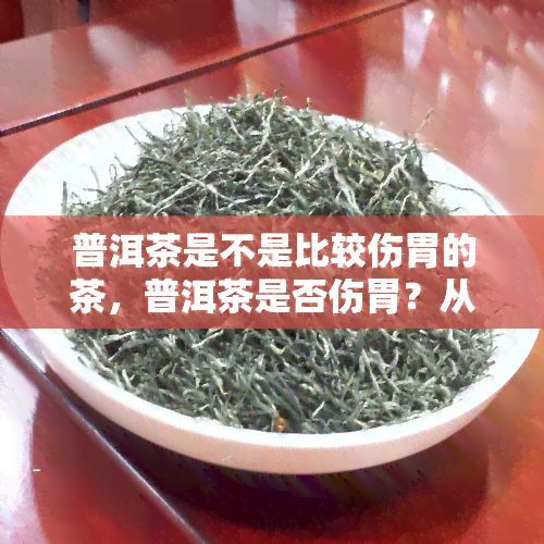 普洱茶是不是比较伤胃的茶，普洱茶是否伤胃？从科学角度看，普洱茶对身体的影响