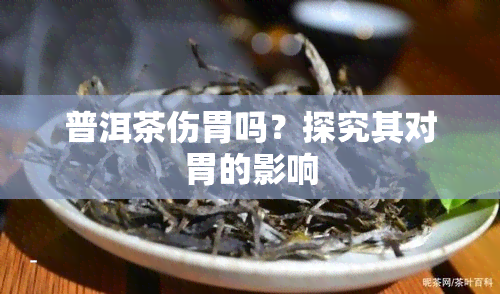 普洱茶伤胃吗？探究其对胃的影响