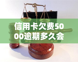 信用卡欠费5000逾期多久会被起诉？