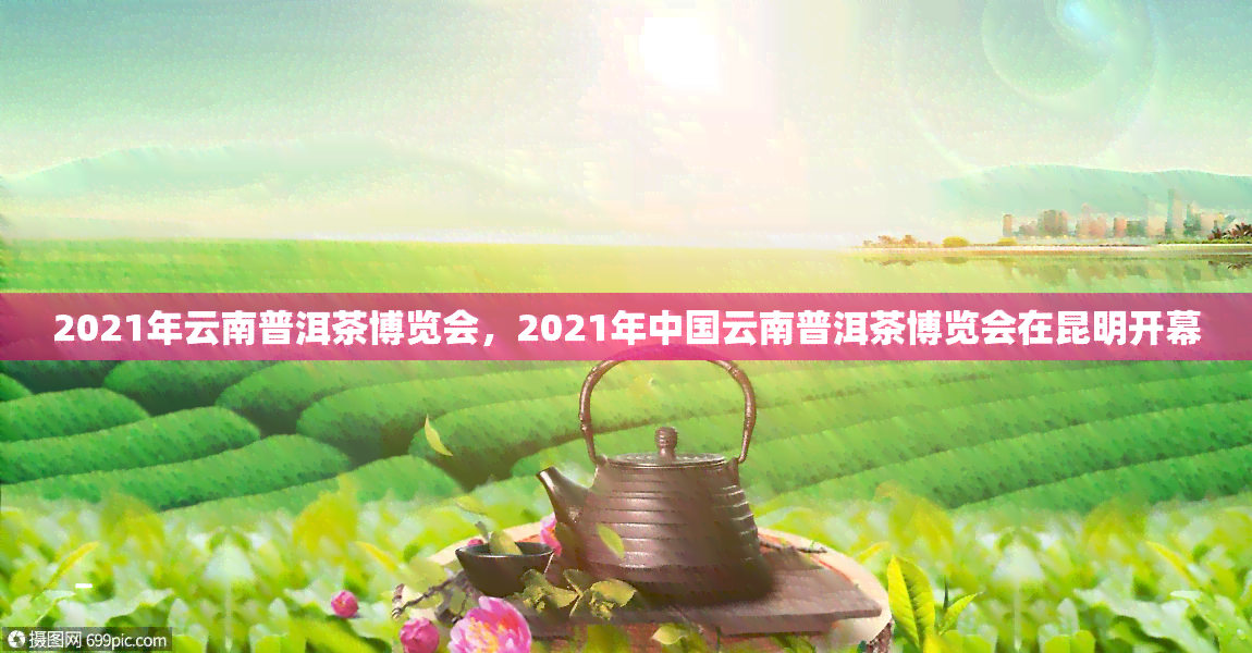 2021年云南普洱茶博览会，2021年中国云南普洱茶博览会在昆明开幕