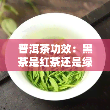 普洱茶功效：黑茶是红茶还是绿茶？