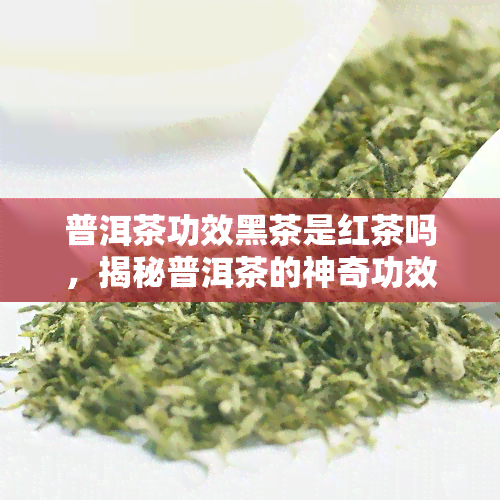 普洱茶功效黑茶是红茶吗，揭秘普洱茶的神奇功效：它与黑茶、红茶有何不同？