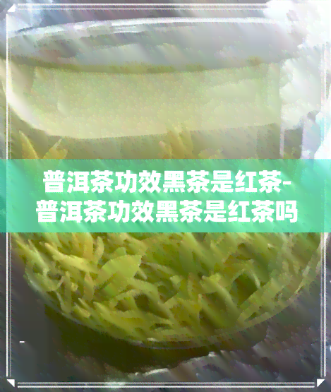 普洱茶功效黑茶是红茶-普洱茶功效黑茶是红茶吗