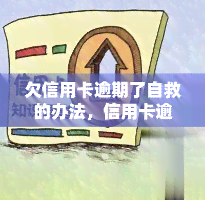 欠信用卡逾期了自救的办法，信用卡逾期了？教你自救的五个有效方法！