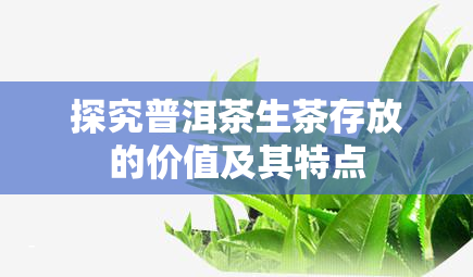 探究普洱茶生茶存放的价值及其特点